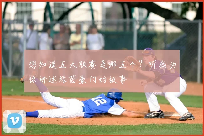 想知道五大联赛是哪五个？听我为你讲述绿茵豪门的故事
