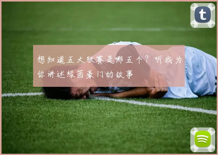 想知道五大联赛是哪五个?听我为你讲述绿茵豪门的故事